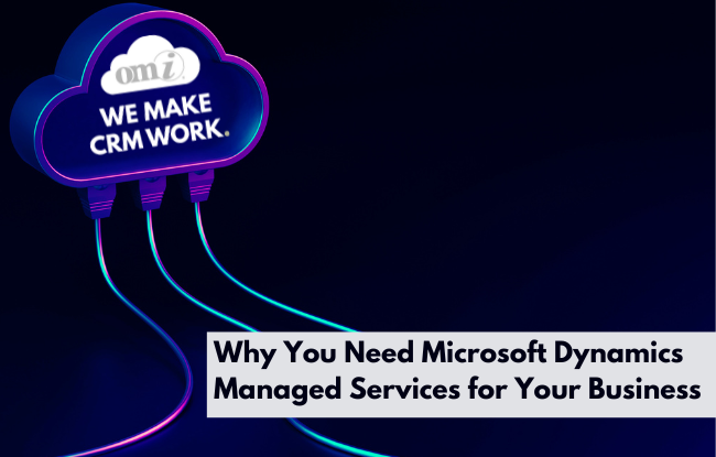 Why You Need Microsoft Dynamics Managed Services for Your Business by OMI