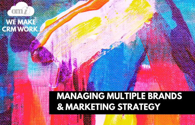 multi brand marketing strategy